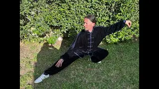 Lezioni gratis: esercizi e radicamento - M° Gian Luca Pellegrini - Tai Chi Online .it