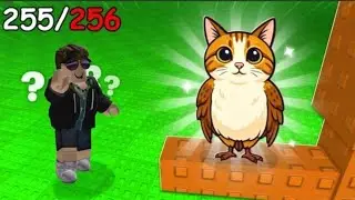 Cerco i brainrot più rari su find the brainrot 🧠 (challenge🤫) Roblox ◽ find a brainrot 🧠 EdoXgame14😁