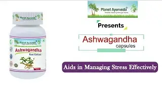 Ashwagandha (Withania somnifera) - Best Nervine Tonic | Less Stress, More Energy & Stamina