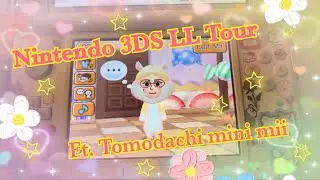 2025 Nintendo 3DS XL tour (Cute games/case)