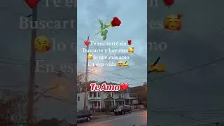 frases de amor y reflexi&oacute;n
