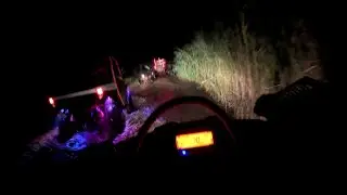 Night ride