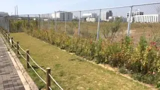 Pollinator Flower Garden in Japan