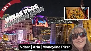 Vegas Vlog January 2024 - Day 1 - Vdara Stay Well | Aria | Moneyline Pizza | Fun with slots