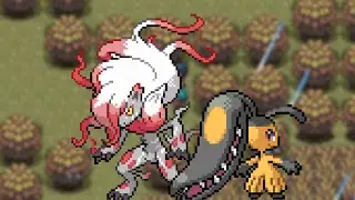 Ranger Recruit - Pokemon Dreamstone Mysteries - Gameplay Walkthrough Part 6