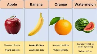 Fruit Size Comparison
