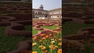 Agra Fort Garden 🪴 #shorts #spring #garden #agrafort