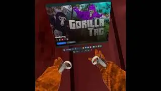 Nicht geiles Video aber egal Gorilla Tag