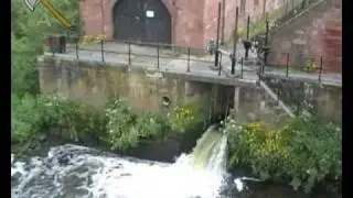 Idiot's Guide To Chester
