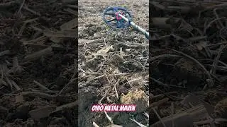 Dirt Fishing for Old Stuff at the 1800s Ohio Homestead #metaldetector #noktalegend #treasurehunting
