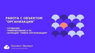 Работа с объектом "Организация"