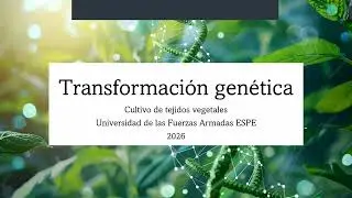 CLASE TRANSFORMACIÓN GENÉTICA VEGETAL