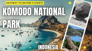Mystic Islands: Exploring Komodo National Park