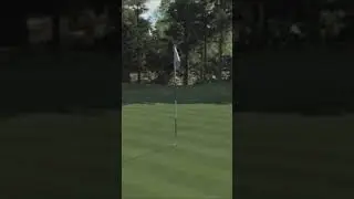 The captain sinks it!! #likeandsubscribe #gaming #golf #chipin
