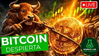 🚨BITCOIN al ALZA 💥 &iquest;Subidas Sostenidas o Trampa de Toros? An&aacute;lisis y Trading EN VIVO