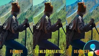 요즘 핫한 Film Look Creator가 필름 에뮬레이션으로 가장 유명한 Filmbox, Dehancer와 비교해서 어느 정도 될까? (기능과 비교영상) 다빈치리졸브 19