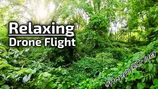 RELAXING DRONE FLIGHT!    #Relaxing#SleepMusic#RelaxingVidoes#Unwind#Cinematic#DJIAvata#FallAsleep