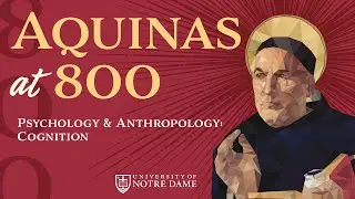 Psychology & Anthropology: Cognition &ndash; &ldquo;Aquinas at 800&rdquo; Conference