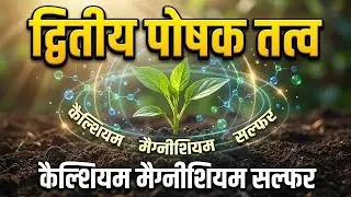 पत्तियाँ पीली? फूल झड़ रहे? कारण हो सकता है Calcium Magnesium Sulphur Deficiency