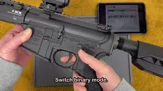 Gate aster binary trigger setting!