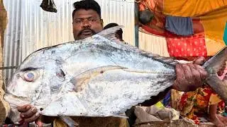 KASIMEDU SELVAM DIAMOND TREVALLY FISH CUTTING | UK SONS MARINE 🇮🇳