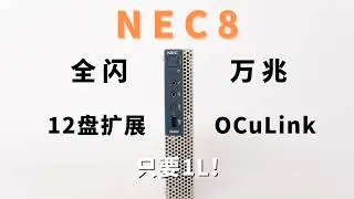小主机只能全闪？全闪+12块硬盘+万兆我都要！NEC8爆改ALL IN ONE NAS家庭服务器存算分离实践