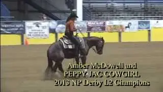 GWRHA 2014 Low Roller Reining Classic Nampa, Idaho, Oct 15-19th