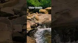 #naturemeditation #relax #watersoundsforsleep #riversounds #relaxingmusic #peacefulriver #shorts
