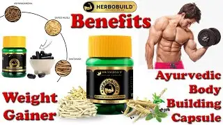 Product Guide Dr. Vaidya's HerboBuild Ayurvedic Capsules | Reviews, Benefits, Uses, Side Effect