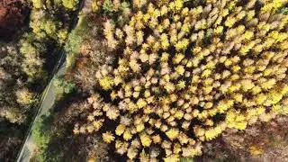Honiton and surrounding area By Drone.