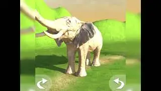 Learn Animals with Animal Simulator 3D Game - Race