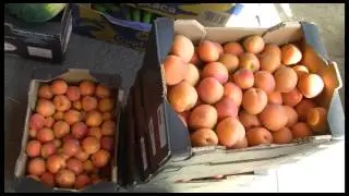 Living Granada -- en el Banco de Alimentos || GRX9tv