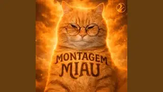 MONTAGEM MIAU