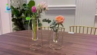 Ivolador Modern Tabletop Metal Frame Test Tube Vase Plants Terrariums Metal Stand with 2 Test Tube