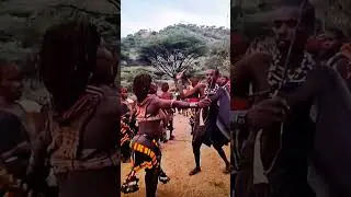 Hamer tribe marriage ceremony #shortvideo #video #wildlife #africa #music #song #food #travel #love