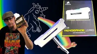 FILLED MY DIMS WITH CORSAIR VENGEANCE PRO LIGHT ENHANCEMENT KIT
