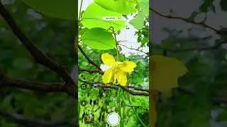creative photography tips  withe phone using pro mood. wait for result. #aziz_click #photographyho