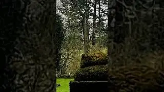 SPIRITS OF MUCHWENLOCK PRIORY