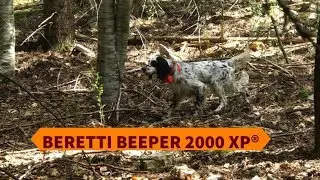 Beretti Beeper 2000 xp® per la caccia con i cani da ferma