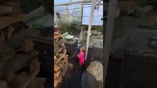 Полезный девайс для гровинга🥷 #lightmover#indoor#growing