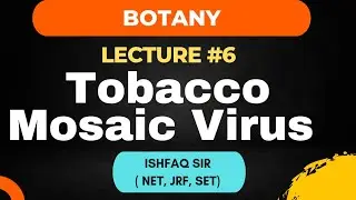 Tobacco Mosaic Virus - Structure and Reproduction