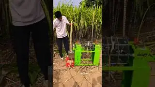 Sugarcane Farming #farming #newtechnologyideas #agriculturelife #agriculture machines