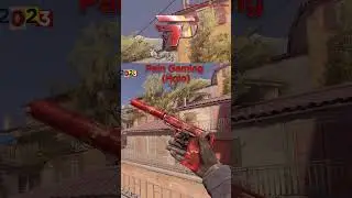 Cs2 Usps Pain Gaming Bleeding Edge Craft