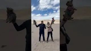 Great Sand Dunes National Park in Colorado!  #hiking #nationalpark #nature #shorts
