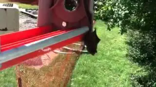 Getting bat of a ladder