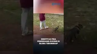 Polisi Periksa Pria Tendang Kucing hingga Tewas di Blora