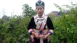 Ntsuab vaj kwv txhiaj tau ua luas lwj siab 25 12 2025