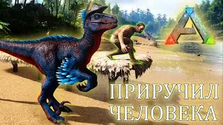 Играю РАПТОРОМ! ARK: Survival Evolved, кооп Раптор + Человек.