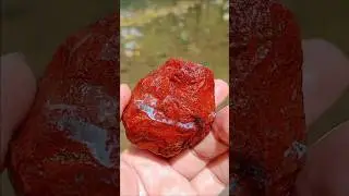 &hearts;️ Red Jasper with quartz veins #rockhounding