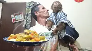 حياة بسيطة و طاقة ايجابية مع لعائلة👨‍👩‍👧❤️🐵 